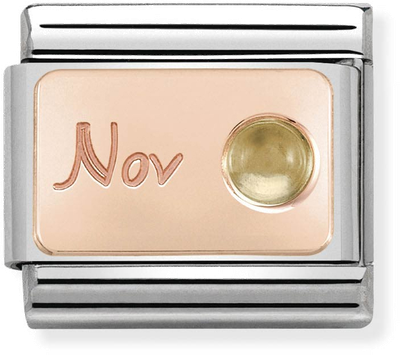Nomination Classic November Birthstone Citrine 9ct Rose Gold & Steel Charm 430508/11