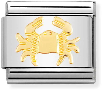Nomination Classic Cancer 18ct Gold & Steel Charm 030104/04