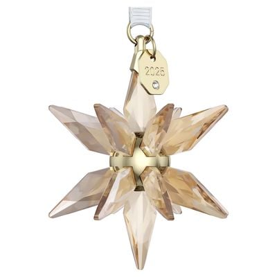Swarovski Annual Edition Festive 3D Ornament 2025 5701505