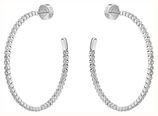 BOSS Jewellery Kassy Divine Crystal Stainless Steel Hoop Earrings 1580863