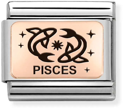Nomination Classic Pisces 9ct Rose Gold & Steel Charm 430112/12
