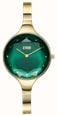 STORM CRISTOLA / 32mm  / Green Dial / Gold - Tone Stainless Steel Bracelet 47571/GD/GN