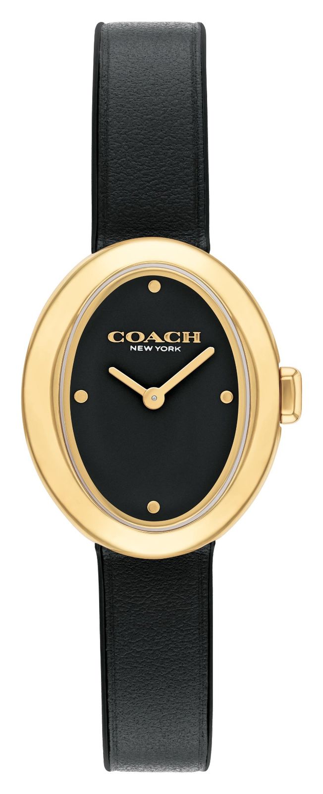 Coach 14504421 Women’s Sammy (22mm) Black Dial / Black Watch