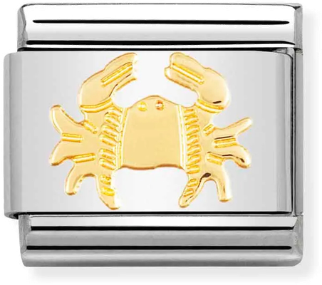 Nomination Classic Cancer 18ct Gold & Steel Charm 030104/04