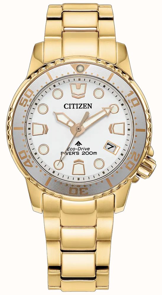 Citizen EO2029-54A