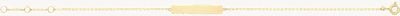 Treasure House Ladies 9ct Yellow Gold ID Chain Bracelet BR656