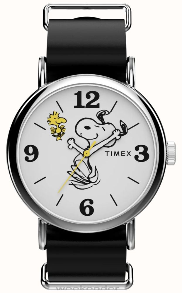Timex TW2Y60900
