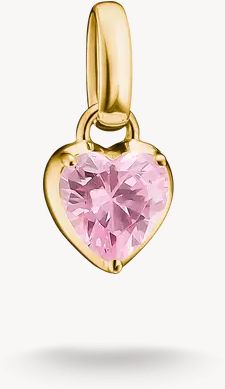 Thomas Sabo THOMAS SABO Birthstone Charm January – Connect CC1329-M01-9