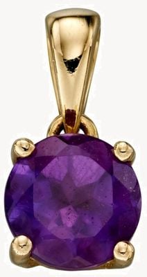 Elements Gold 9k Y/gold Amethyst Birthstone Pendant Only GP2190