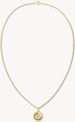 Tommy Hilfiger ellow Gold Tone Plated Compass Pendant 2790721