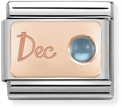 Nomination Classic December Birthstone Topaz 9ct Rose Gold & Steel Charm 430508/12