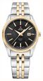 Swiss Military by Chrono Black Dial Two Tone Yellow Gold Stainless Steel Bracelet Ladies Watch SM34066.04