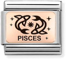 Nomination Classic Pisces 9ct Rose Gold & Steel Charm 430112/12