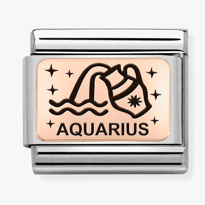 Nomination Classic Aquarius Rose Gold Charm 430112/11