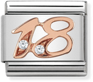 Nomination Classic 18 9ct Rose Gold & Steel Charm 430315/18