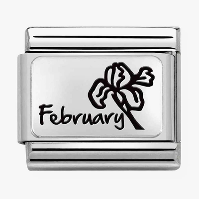 Nomination Classic February Birthstone Amethyst Charm 330112/14