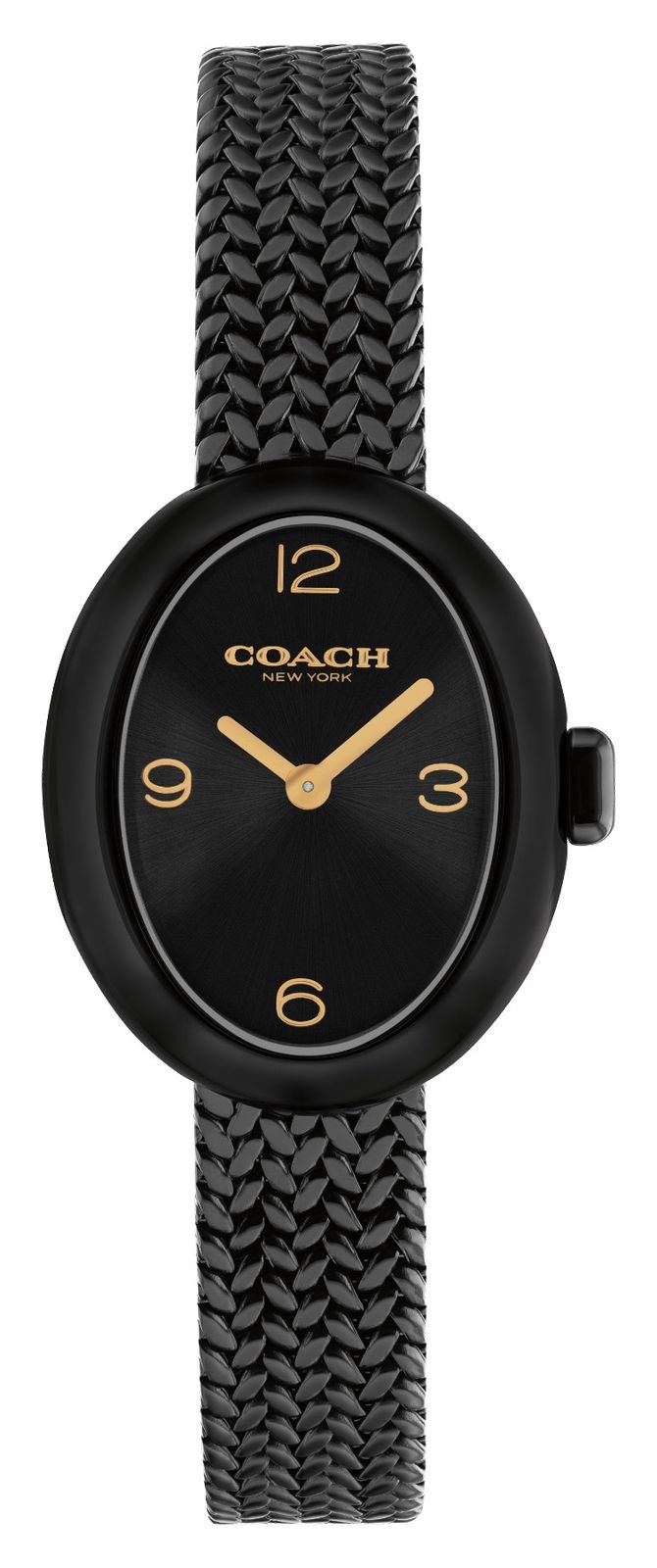 Coach 14504569 Women's Sammy (22.5mm) Black Dial / Black IP Watch
