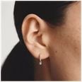Thomas Sabo 18ct Gold Plated Classic Brilliant Cut Zirconia Hoop Earrings CR781-M01-14 - alternate view 5