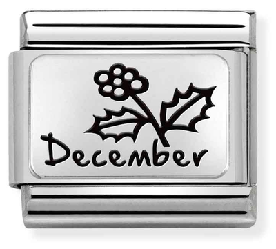 Nomination Classic December Birthstone Blue Topaz Steel Charm 330112/24