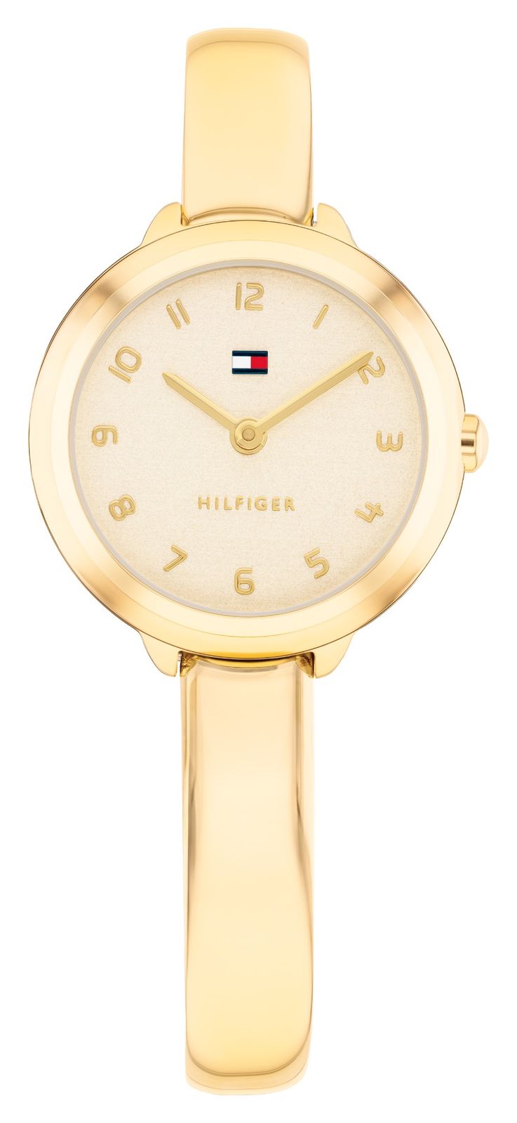 Tommy Hilfiger 1782895 DEMI BANGLE Two-Hand Quartz (26mm) Watch