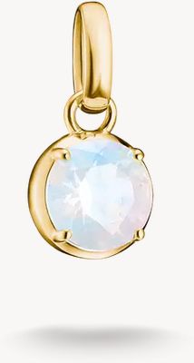 Thomas Sabo THOMAS SABO Charm Club Connect 18ct Yellow Gold Plated June Birthstone Charm CC1334-M01-14