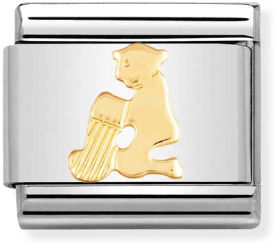 Nomination Classic Aquarius 18ct Gold & Steel Charm 030104/11