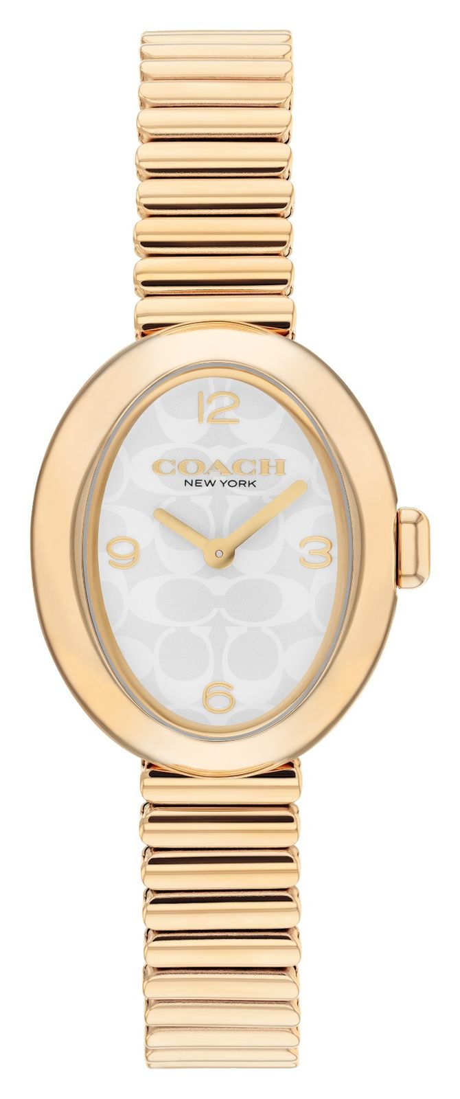 Coach 14504573 Women’s Sammy (22.5mm) White Logo Dial / Gold Watch