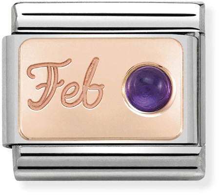 Nomination Classic February Birthstone Amethyst 9ct Rose Gold & Steel Charm 430508/02