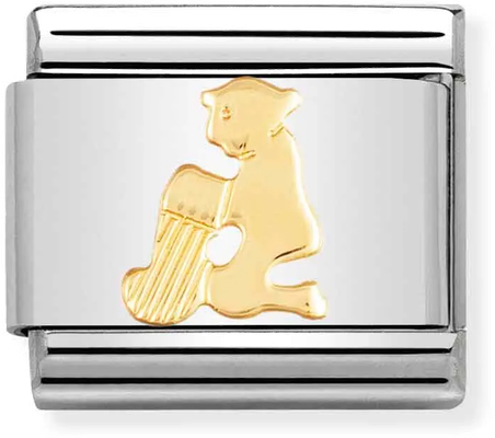 Nomination Classic Aquarius 18ct Gold & Steel Charm 030104/11