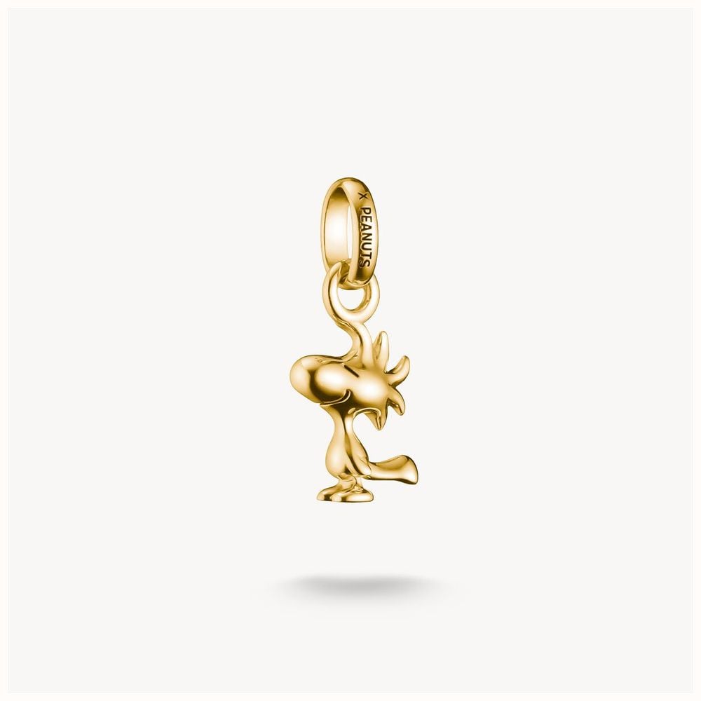 Thomas Sabo Jewellery CC1303-413-39