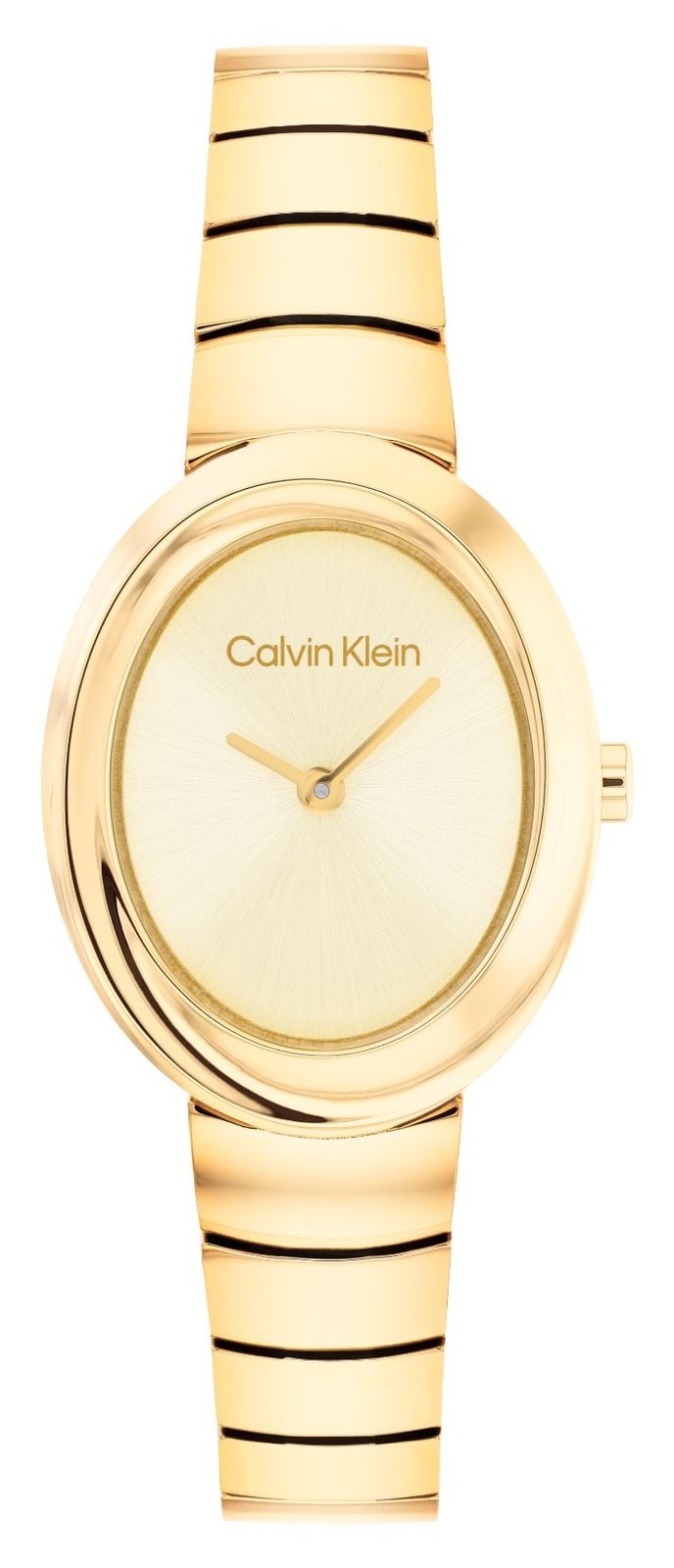 Calvin Klein 25100147 TWISTED BEZEL Two-Hand Quartz (24mm) Watch