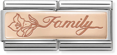 Nomination Classic Family 9ct Rose Gold & Steel Charm 430710/17