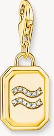 Thomas Sabo Gold-plated Charm Pendant Zodiac Sign Aquarius With Zirconia 2155-414-39