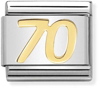 Nomination Classic 70 18ct Gold & Steel Charm 030109/38