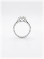 Round Brilliant Natural Diamond Platinum Halo Ring J62058 - alternate view 3