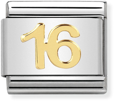 Nomination Classic 16 18ct Gold & Steel Charm 030109/35