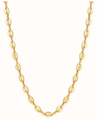 Burren Jewellery 18k Gold Plate Anchor Chain Necklace N1367