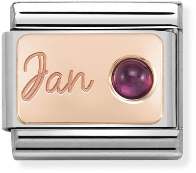 Nomination Classic January Birthstone Garnet 9ct Rose Gold & Steel Charm 430508/01