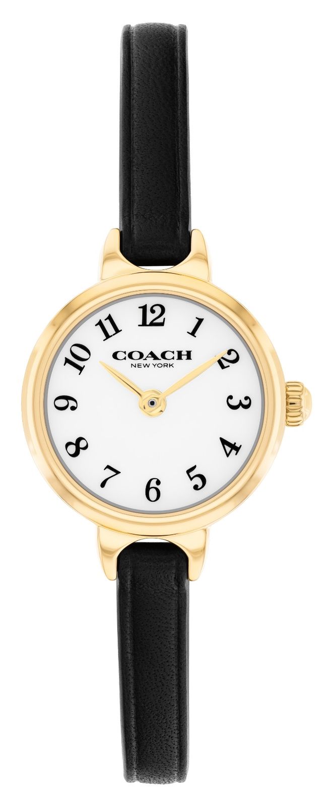 Coach 14504654 Iris Two-Hand Quartz (22.5mm) White Dial / Watch