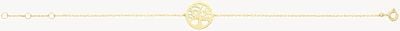 Treasure House Ladies 9ct Yellow Gold Tree Of Life Chain Bracelet BR655