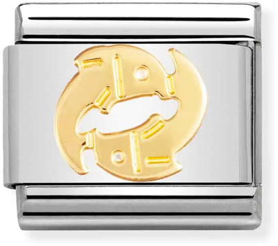 Nomination Classic Pisces 18ct Gold & Steel Charm 030104/12