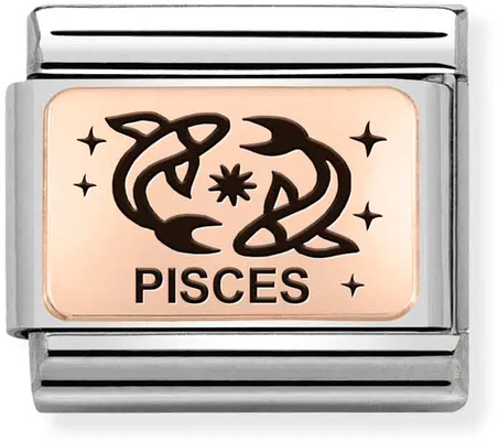 Nomination Classic Pisces 9ct Rose Gold & Steel Charm 430112/12