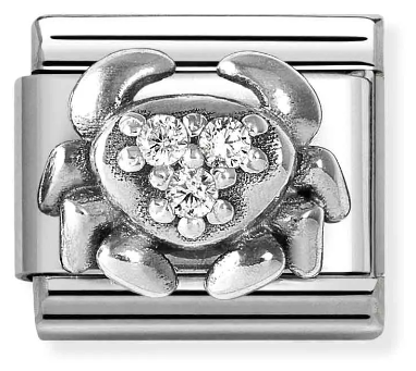 Nomination Classic Cancer Sterling Silver & Steel Charm 330326/04