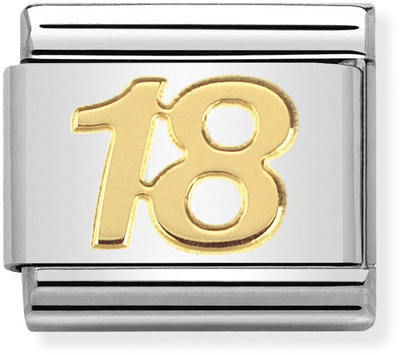 Nomination Classic 18 18ct Gold & Steel Charm 030109/34