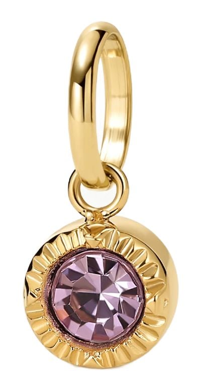 D.LOUISE CH-40-02 Mini Bezel Birthstone February/Amethyst Jewellery