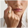 Thomas Sabo Thomas Sabo Fluid Elegance 18ct Yellow Gold Plated Mother of Pearl Halo Signet Ring (Size 50) TR2542-M01-14-50 - alternate view 3