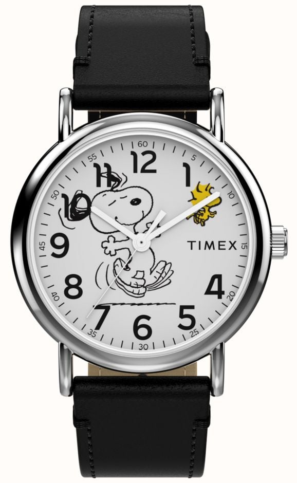 Timex TW2Y31000