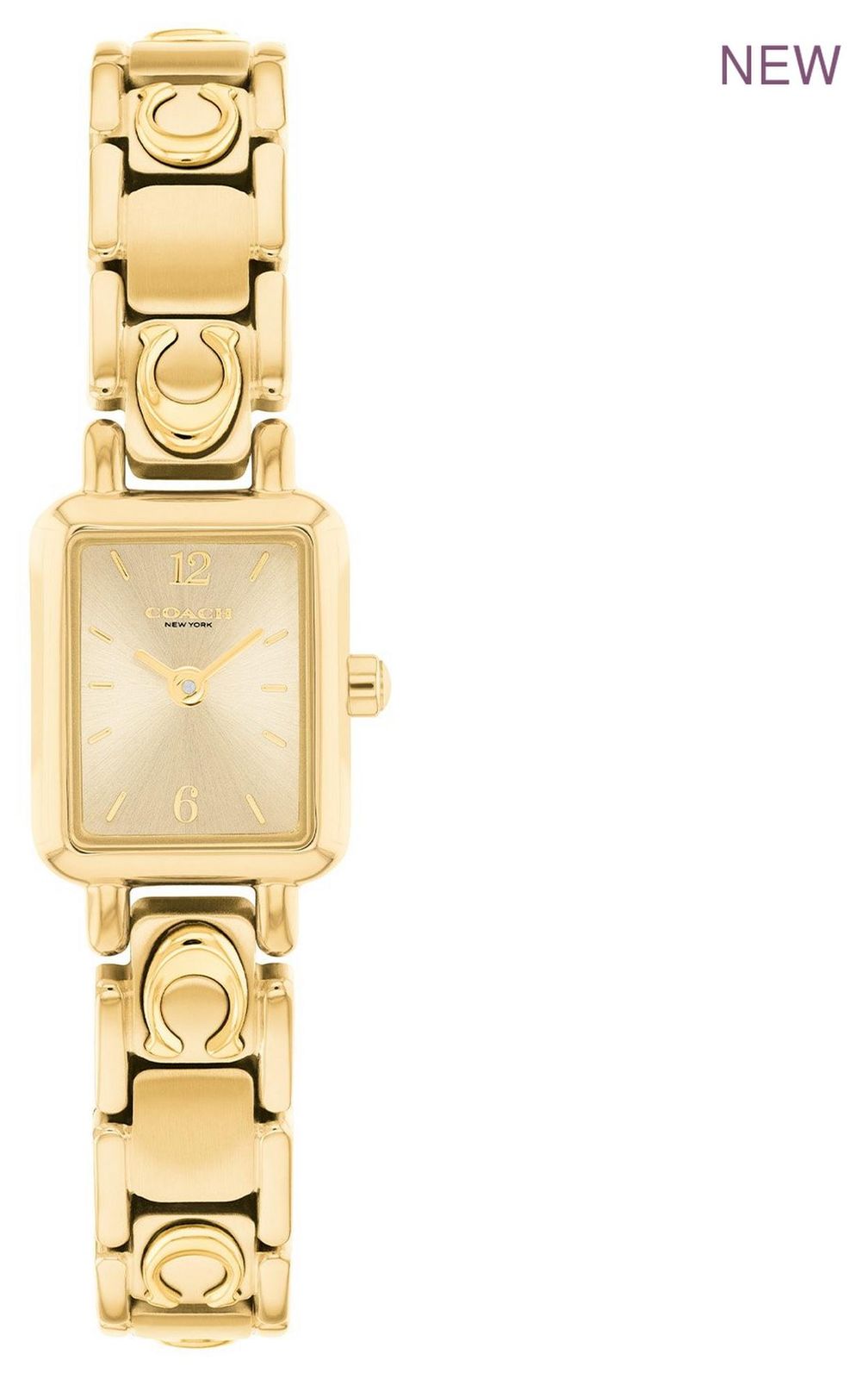 Coach 14504672 Mara (15.5mm) Gold Dial / Gold PVD Stainless Watch