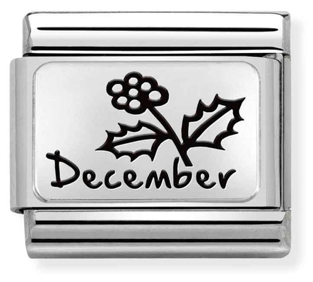 Nomination Classic December Birthstone Blue Topaz Steel Charm 330112/24