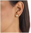 Calvin Klein Ladies Gold-Tone Stainless Steel Stud Earrings 35000981